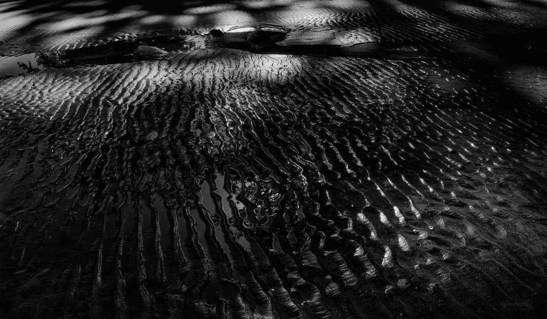 "Skinz & Ripples" 14x24 1st Edition of 3