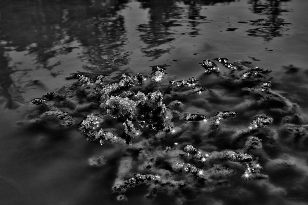 "Crystal Herring Jewels” 14x24 1st of 3
