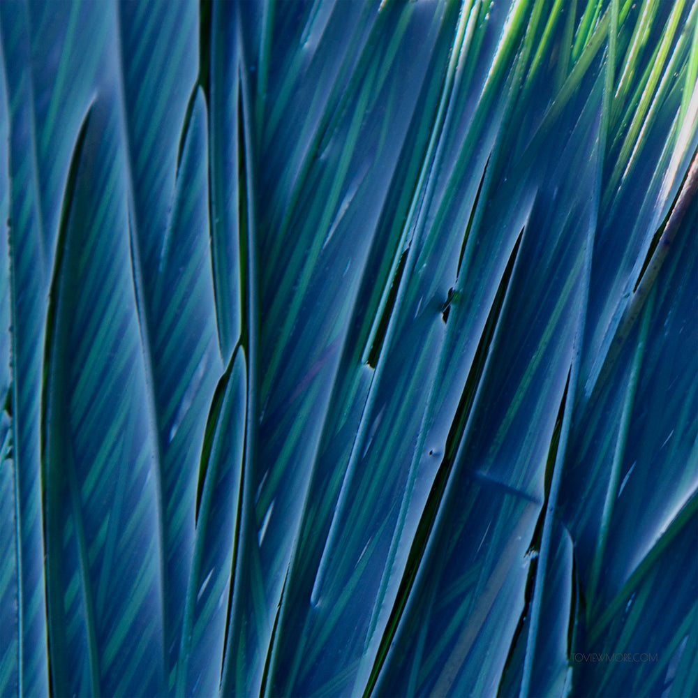 "Blades of Sea Grass"  Set of 3 12x12's Limited Edition 2nd of 3