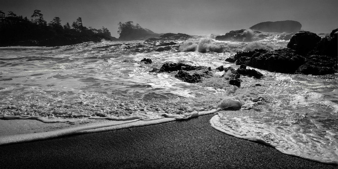"Southbeach Curl" 18x36 Limited Edition 2nd of 3