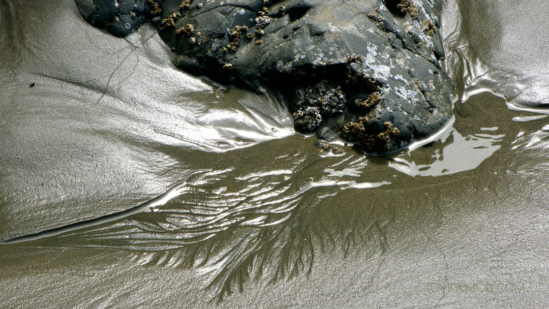 "Cox Bay Sandscape" 14x24  Limited Edition 1st of 3