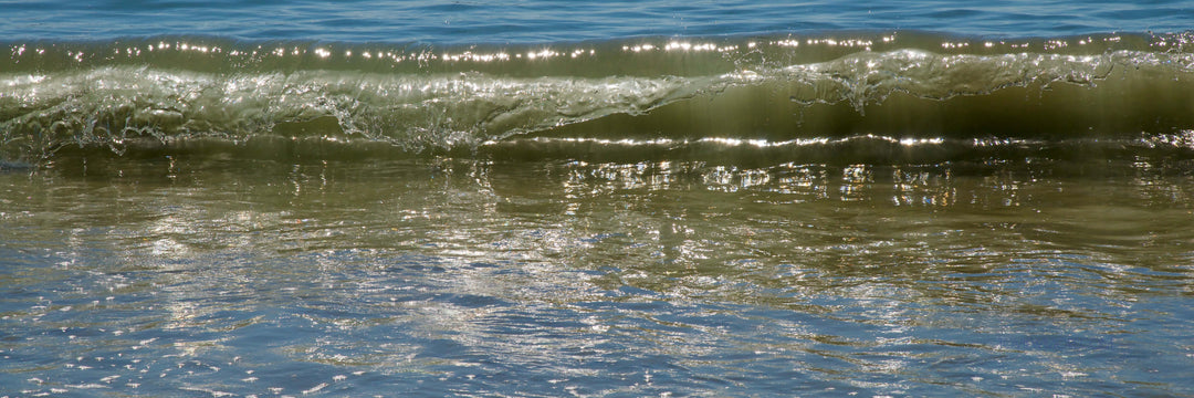 "Sandy Curlz" 15x45 Limited Edition 1st of 3