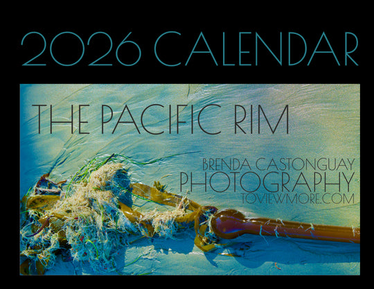 2026 CALENDARS