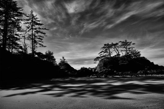 "Box Island Triptych" (SET OF THREE 20x30's in stock are on SALE! -15%