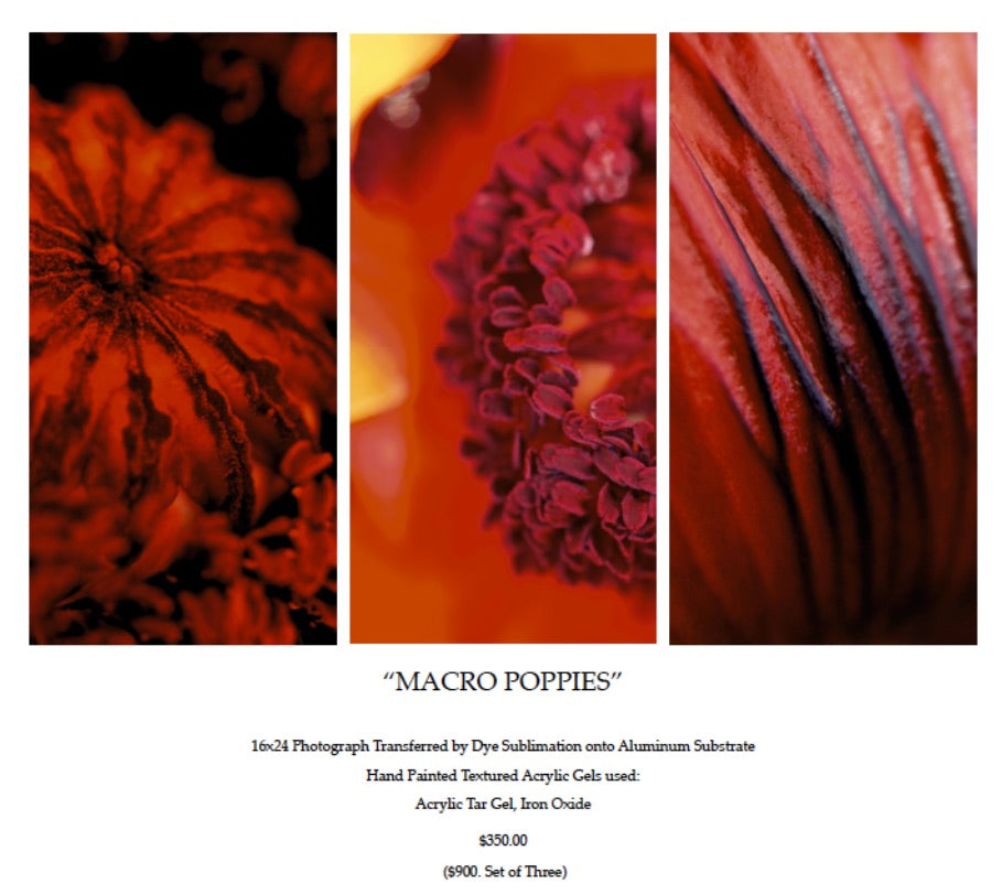 "MACRO POPPIES” 16x24 TRIPTYCH from "The Red Collection