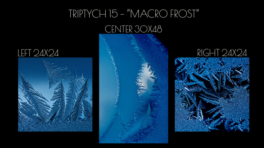 Triptych #15 "Macro Frost"