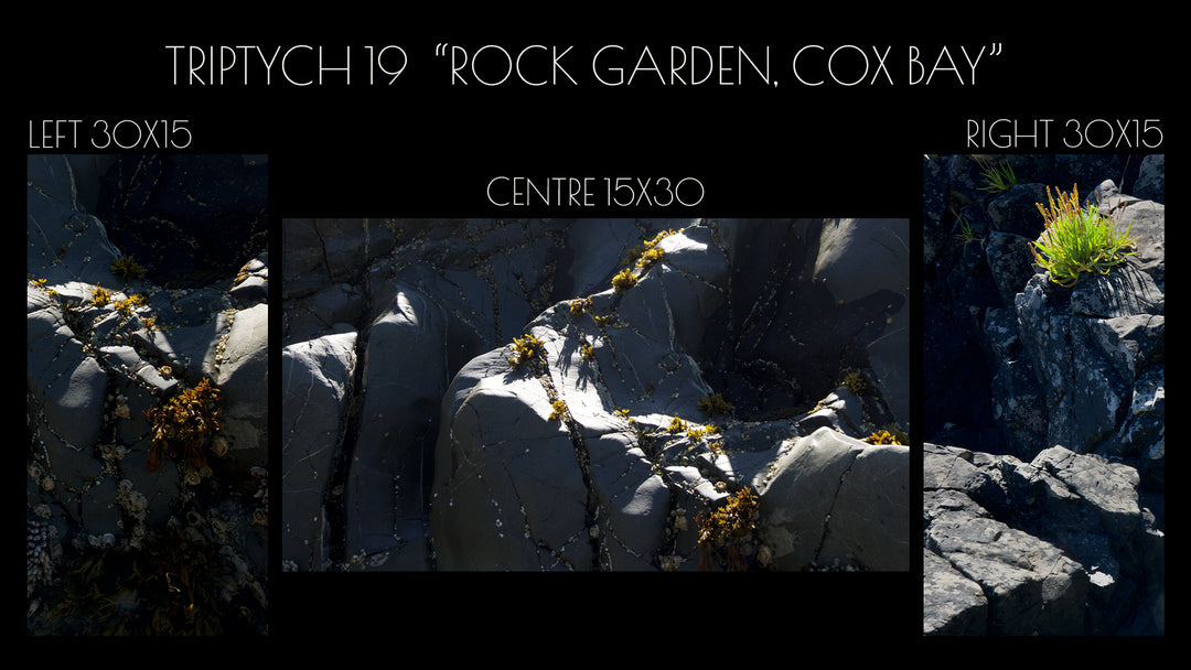 Triptych #19 "Rock Garden Cox Bay"