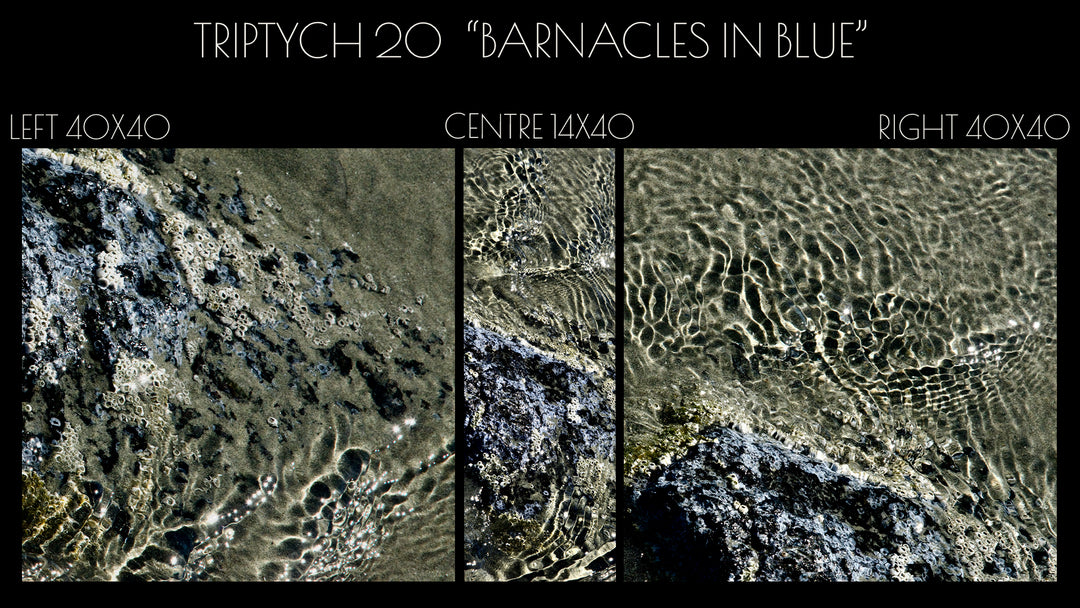Triptych #20 "Barnacles in Blue"