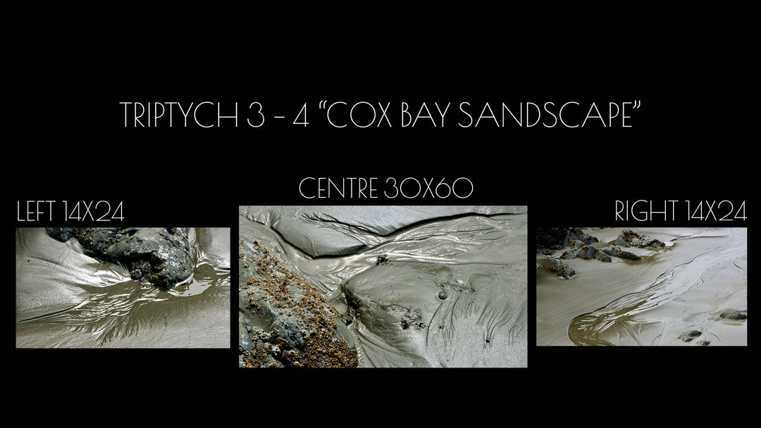 Triptych #3-4 "Cox Bay Sandscape"