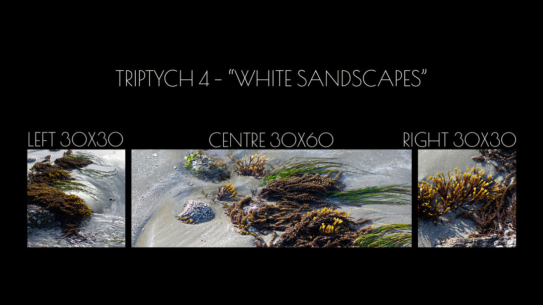 Triptych #4 "White Sandscapes"
