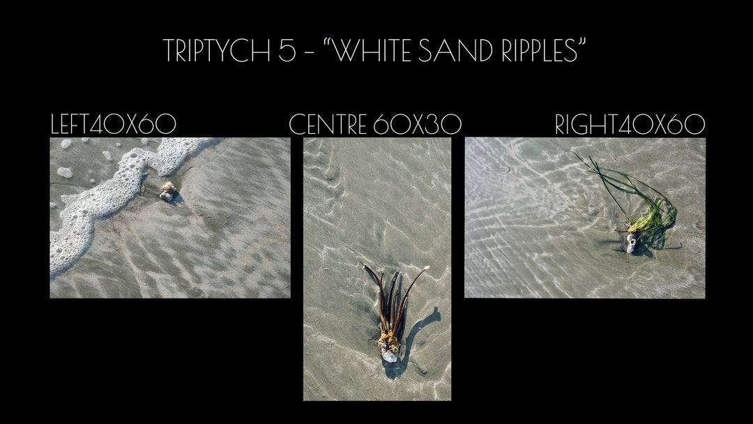Triptych #5 "White Sand Ripples"