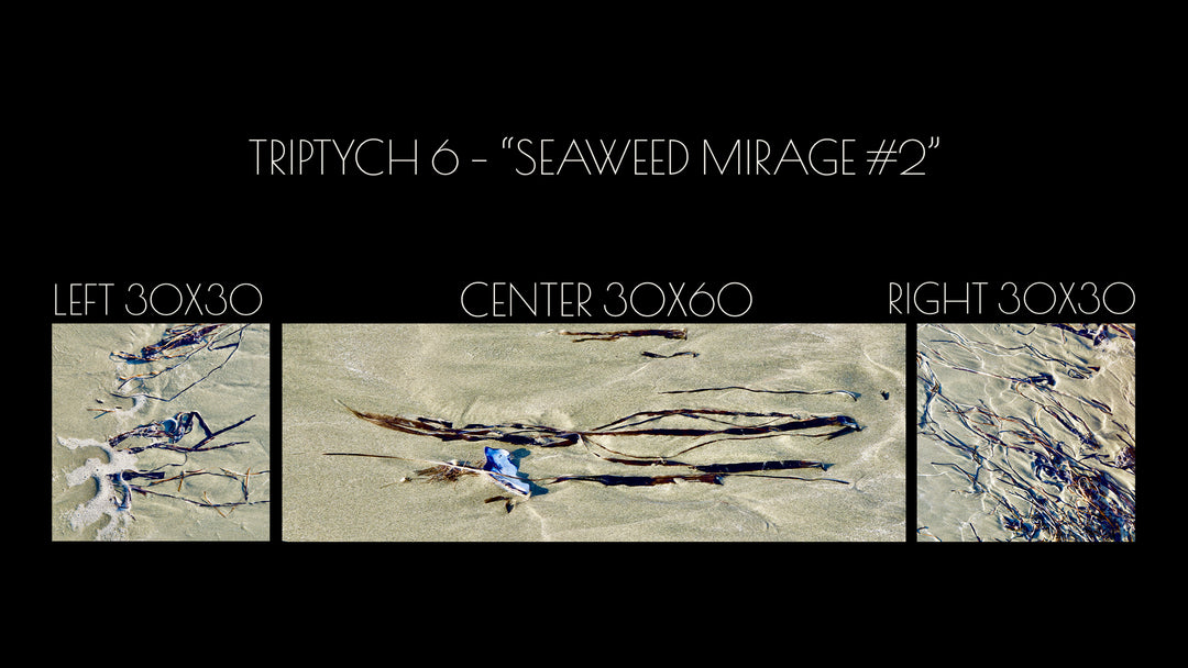Triptych #6 "Seaweed Mirage#2"