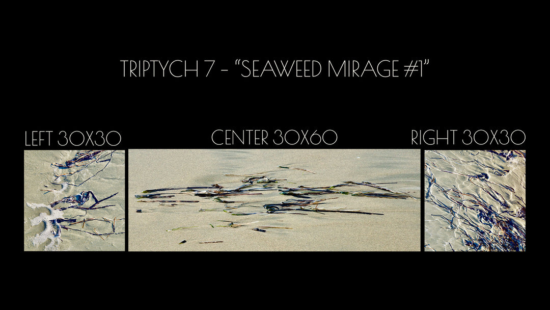 Triptych #7 "Seaweed Mirage#1"